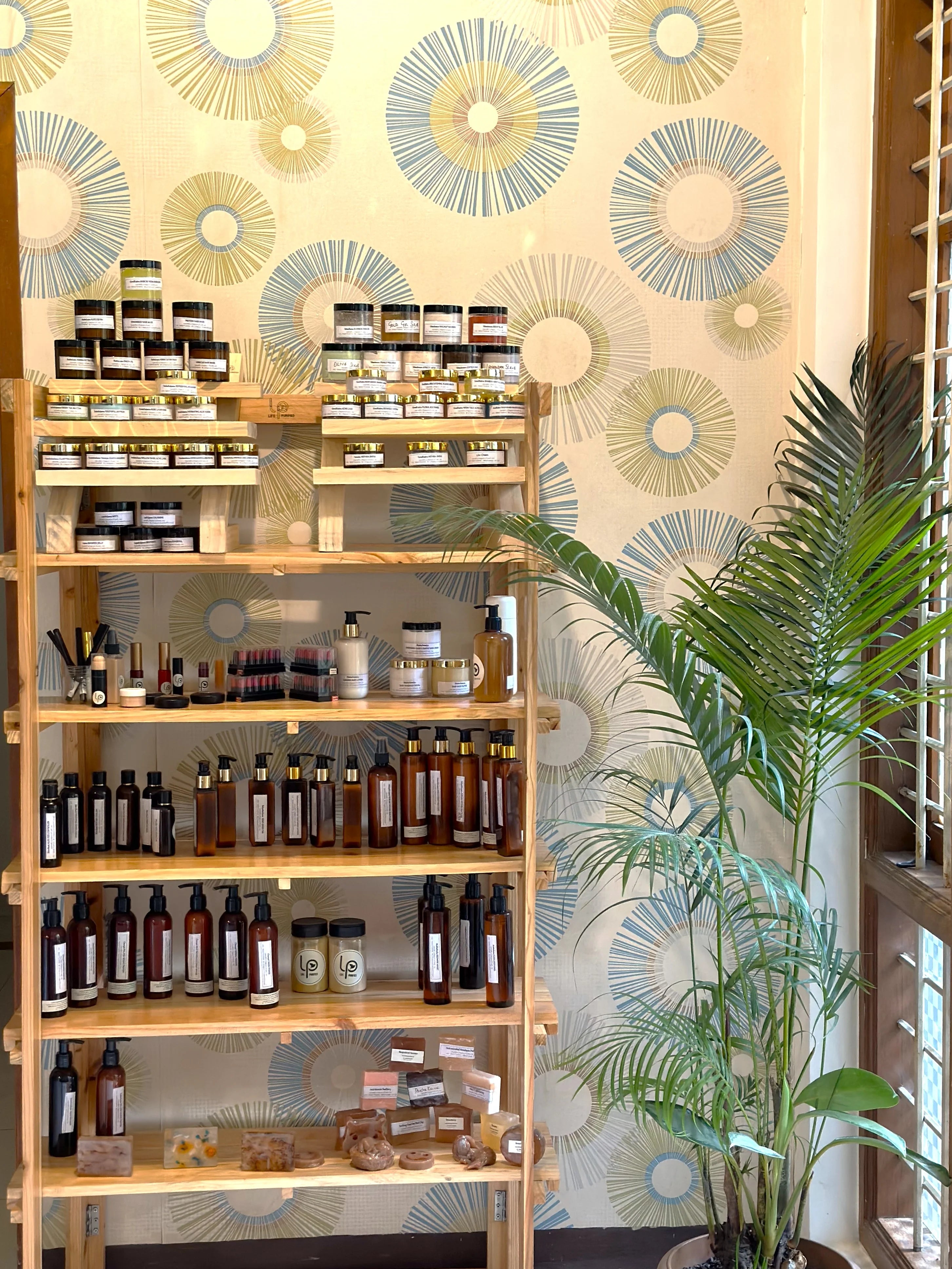 Charma Ikshana - Skin Care : Face & Body