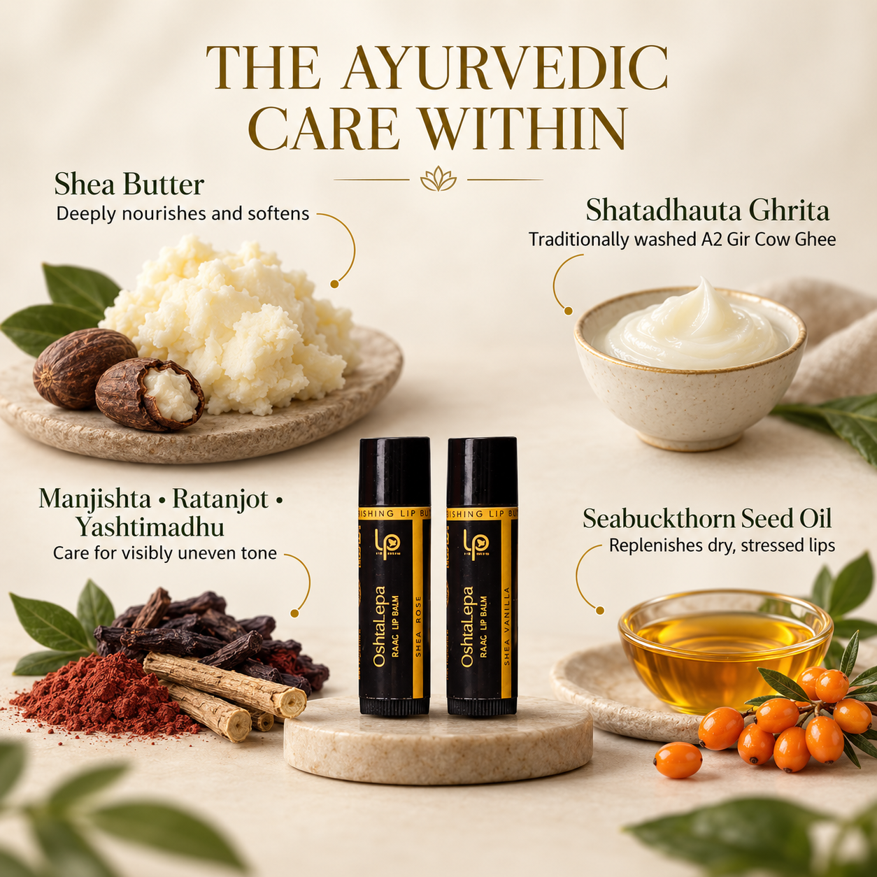 OshtaLepa SHEA CHAPSTICK
