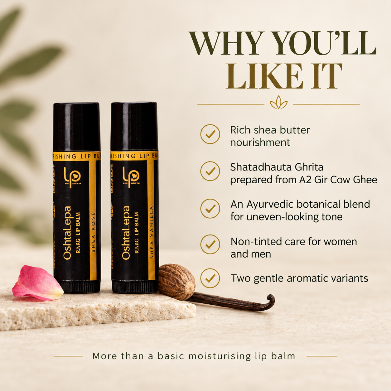 OshtaLepa SHEA CHAPSTICK
