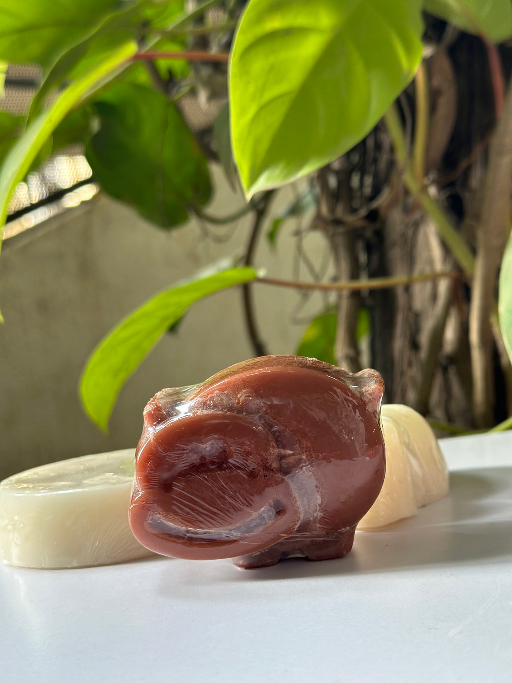 ShishuVatsalya AJAKSIRA VANILLA BABY BAR