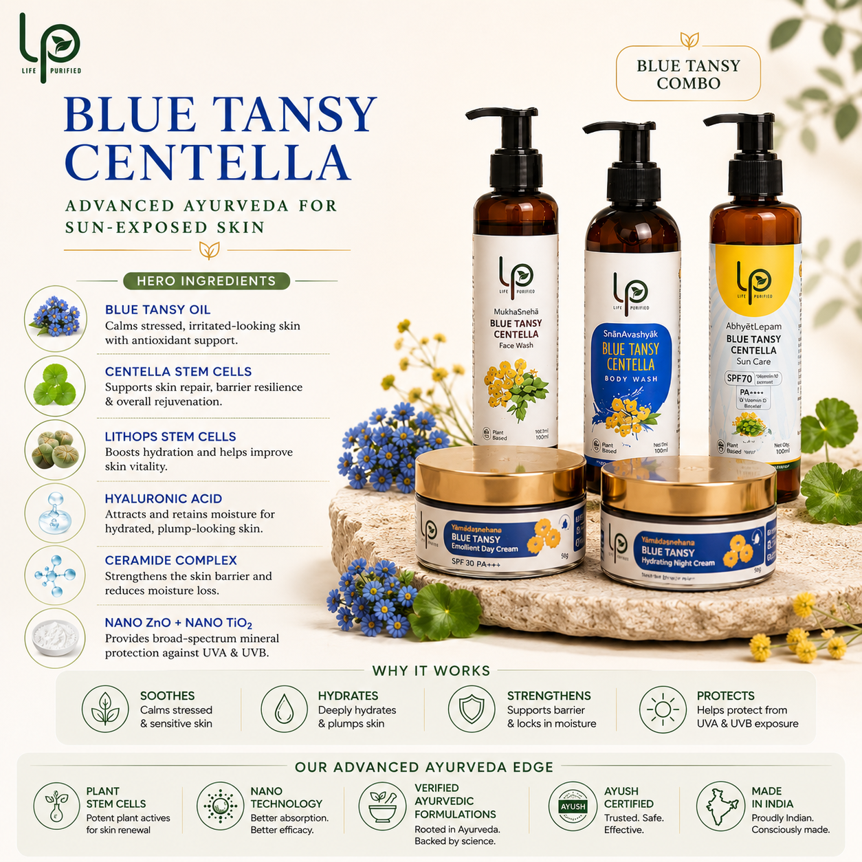Blue Tansy Summer Starter Kit