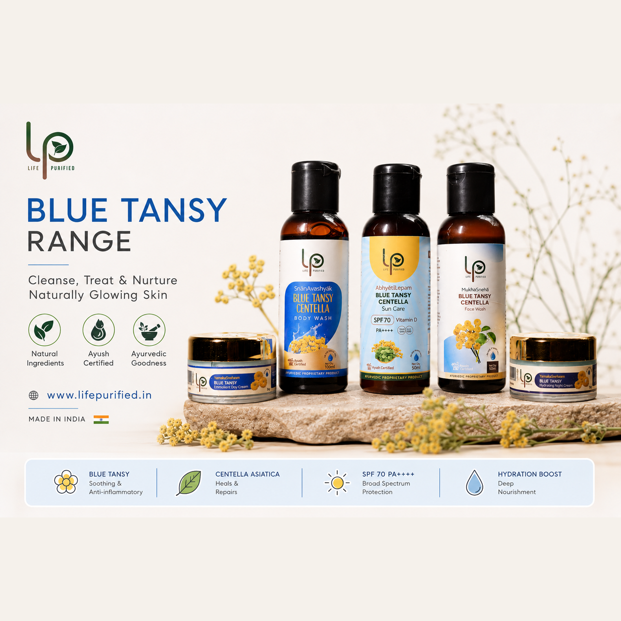 Blue Tansy Summer Starter Kit