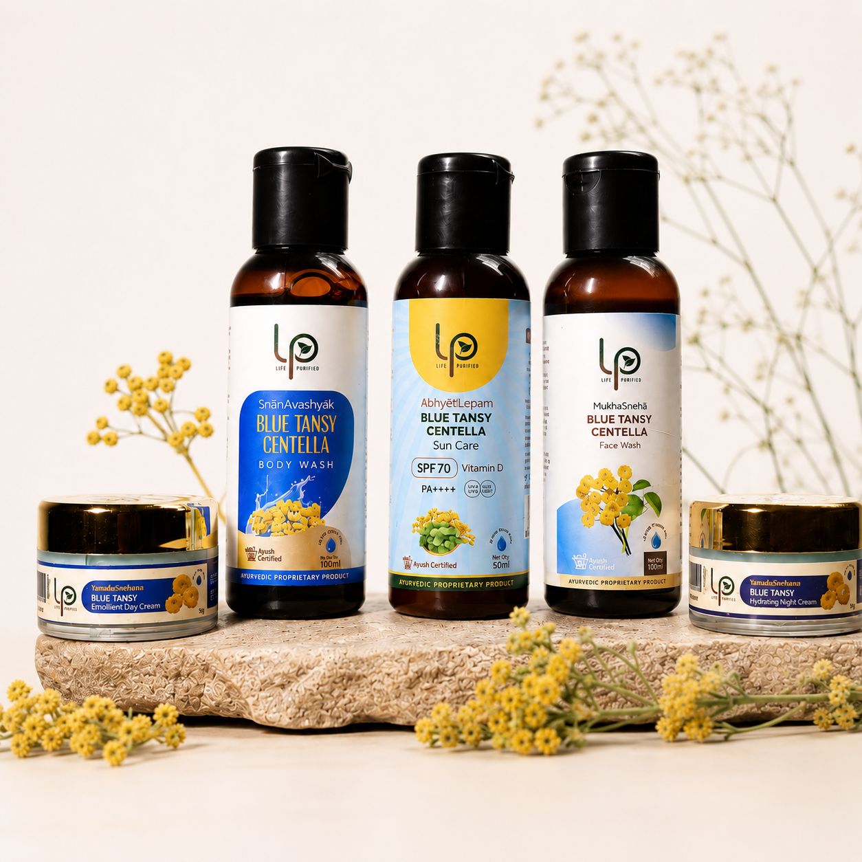 Blue Tansy Summer Starter Kit