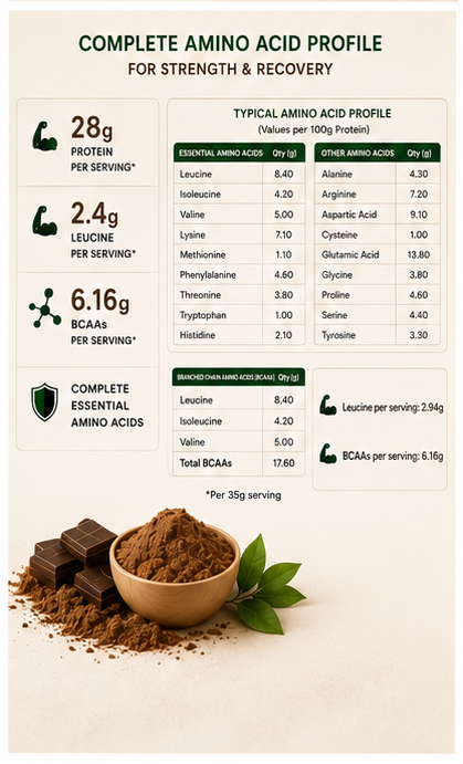 LIFE PURIFIED BioFusion Nano Protein – Daily Wellness Protein | Belgium Chocolate