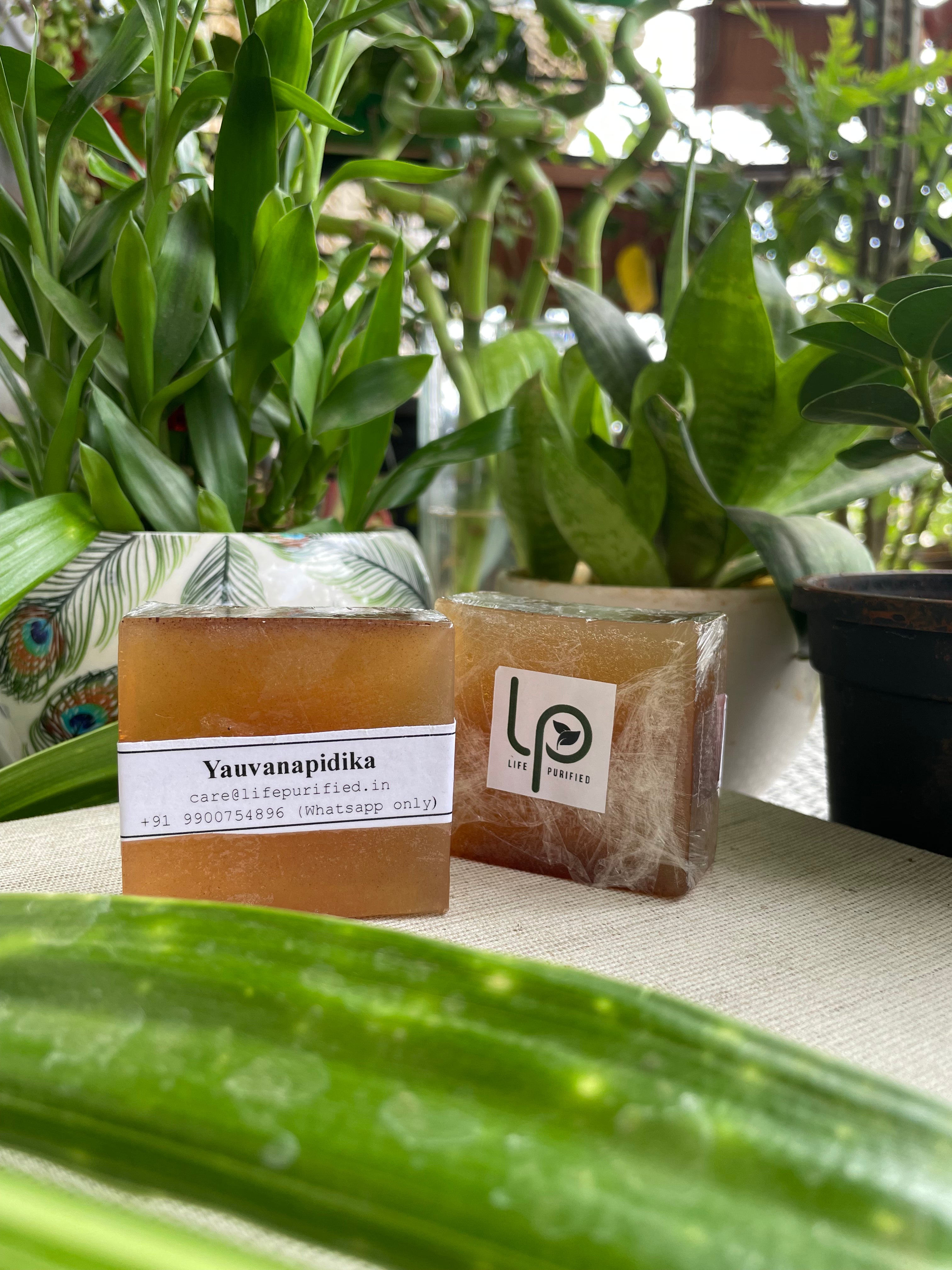 Healing Yauvanapidika - Ayurvedic Soap
