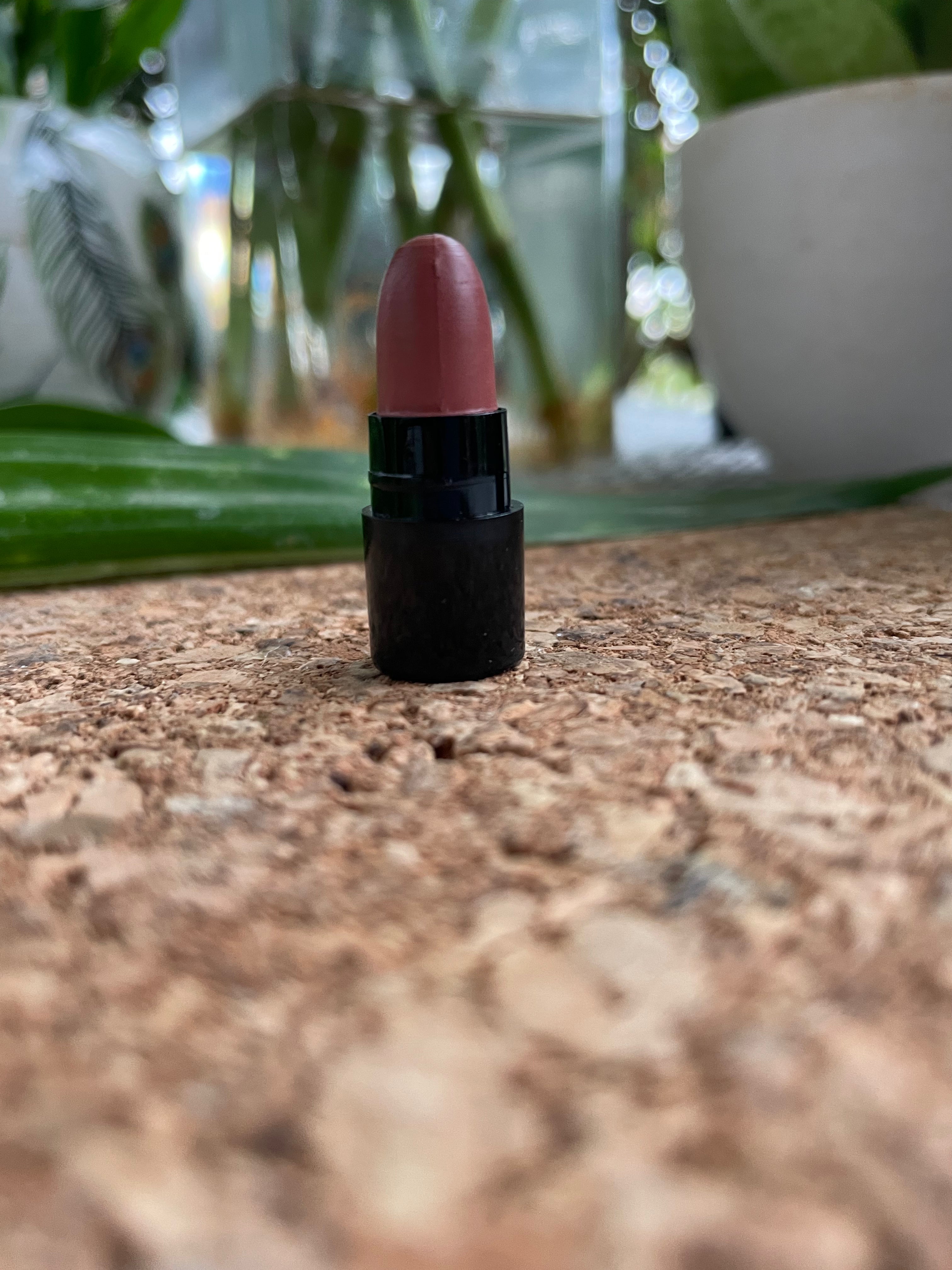 OshtaRaag Lipstick Minis (12)