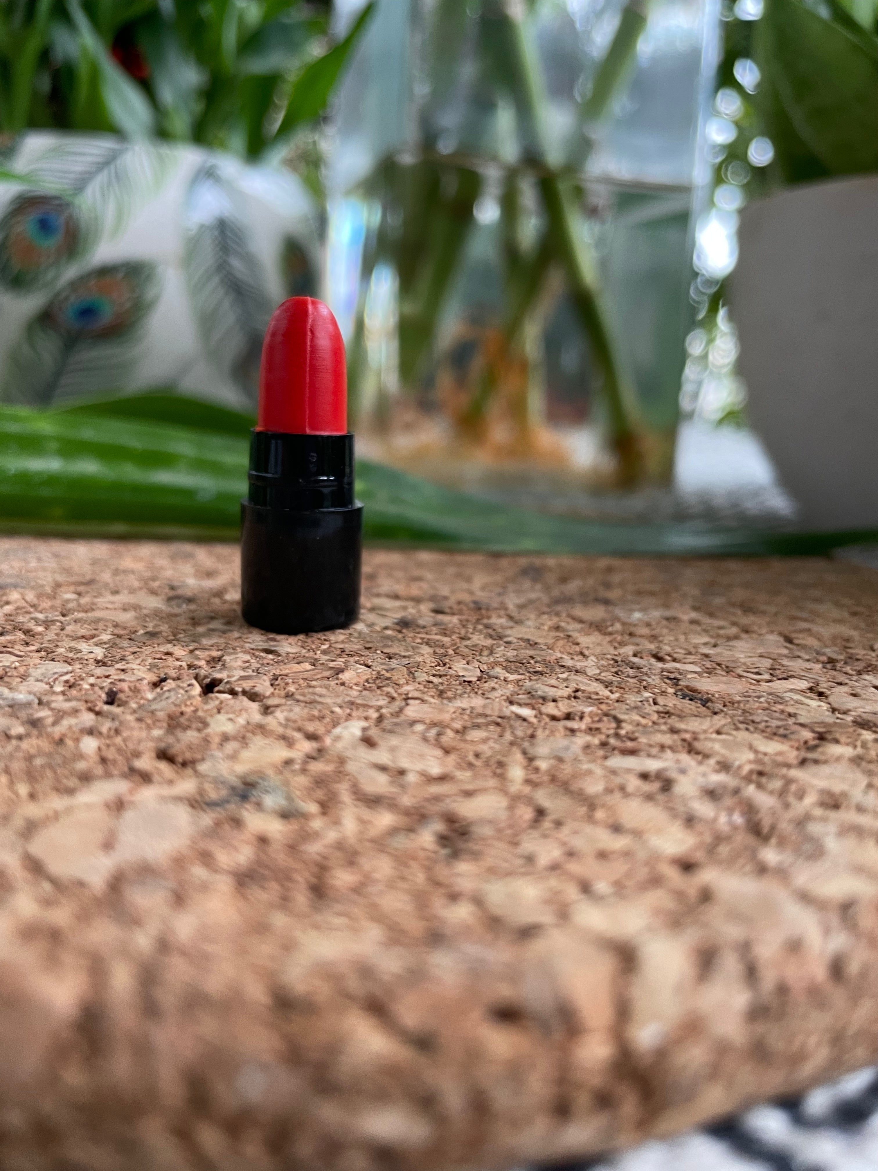OshtaRaag Lipstick Minis (12)