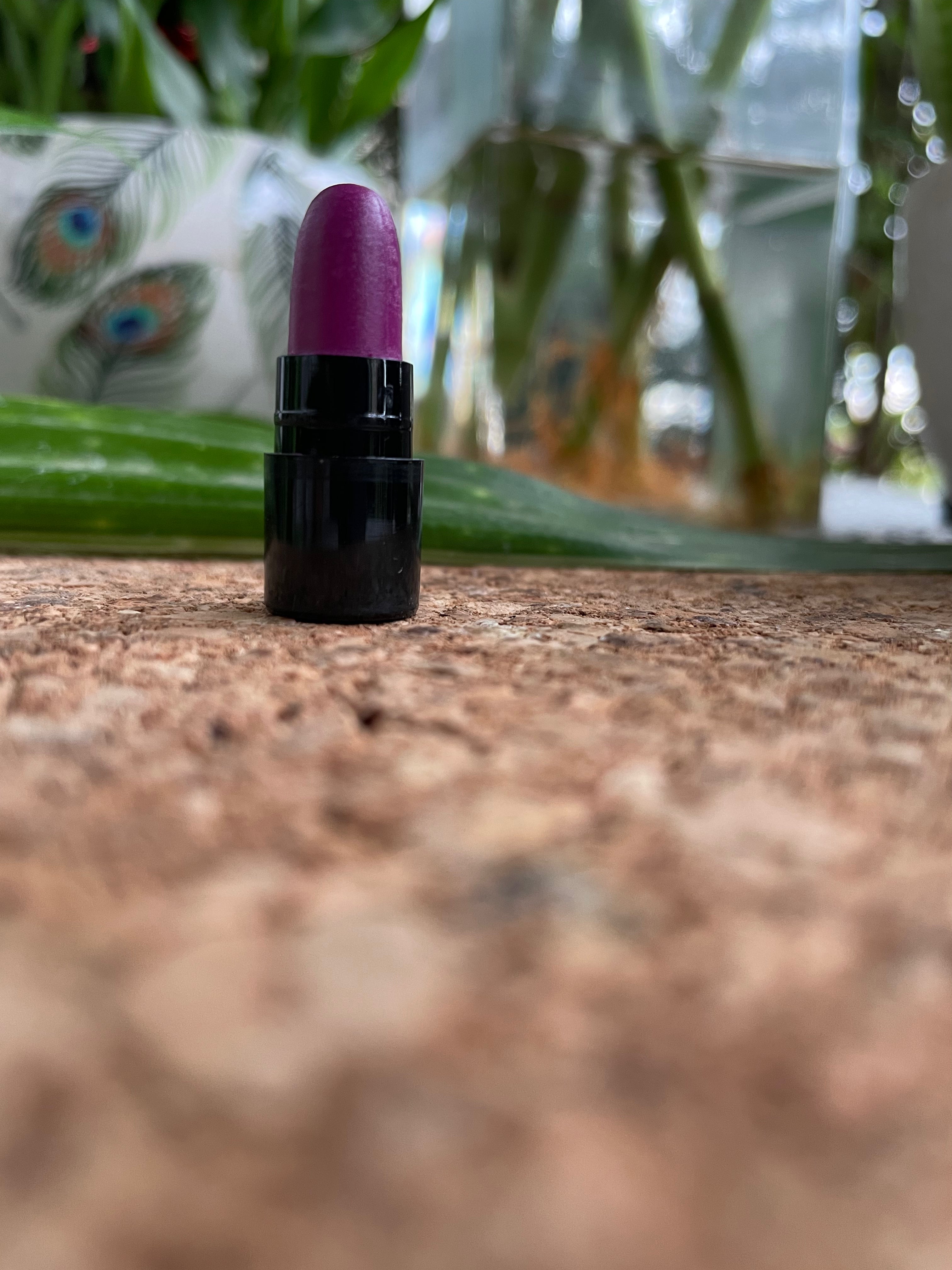 OshtaRaag Lipstick Minis (12)