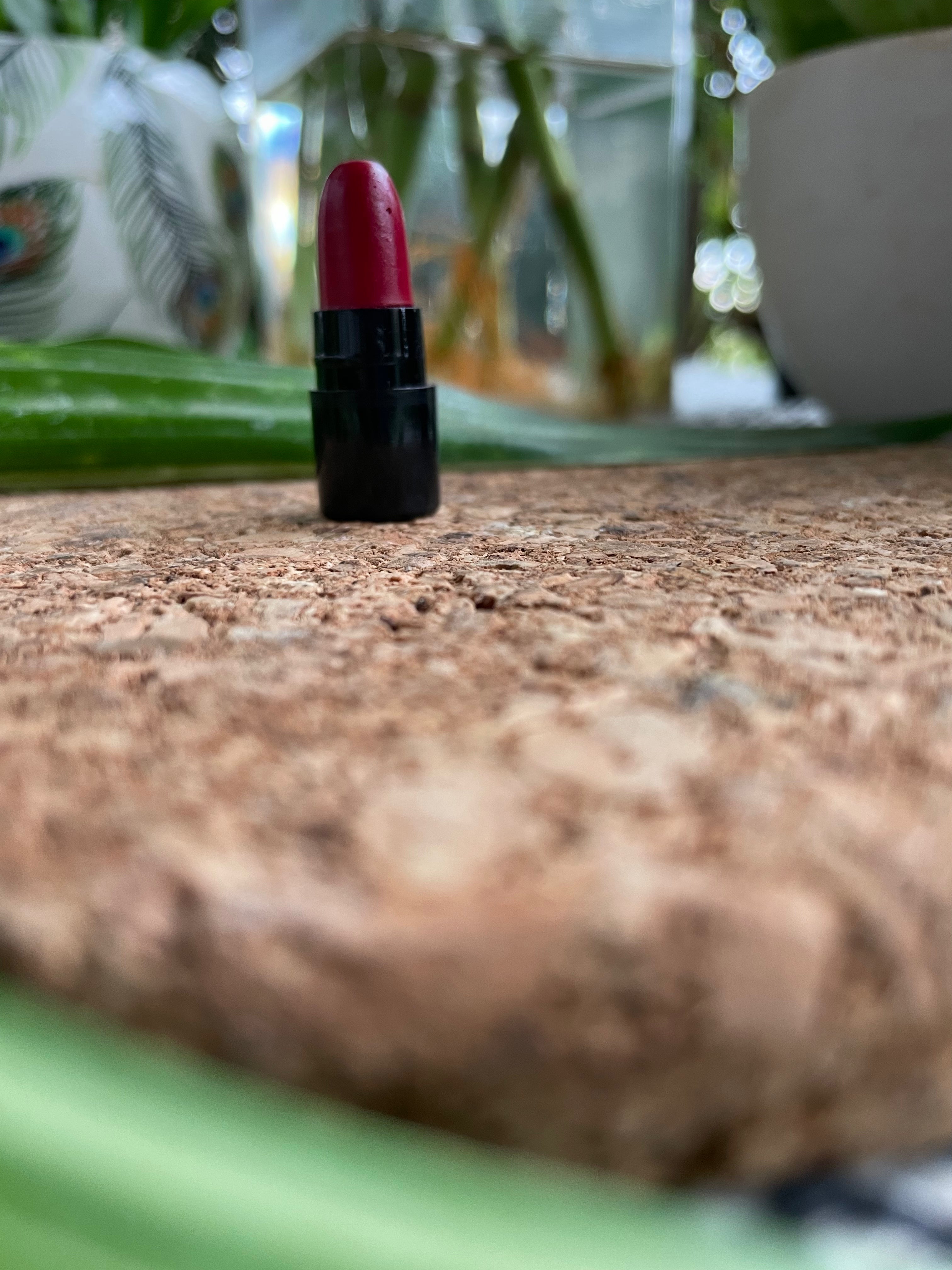 OshtaRaag Lipstick Minis (12)